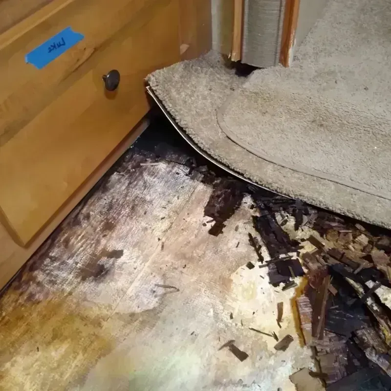 Wood Floor Water Damage in Lake Arthur, LA